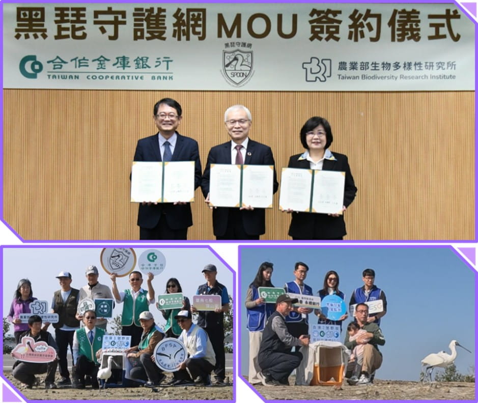 與農業部生物多樣性研究所合作推動「黑琵守護網」：合庫銀行長期關注黑面琵鷺生態保育議題，114年11月18日與農業部生物多樣性研究所（以下稱農業部生多所）簽署「黑琵守護網」合作備忘錄，共同建置全台首座「黑面琵鷺肉毒桿菌毒素中毒預警系統」，整合異常通報、醫療復健與追蹤預警的野外救治作業，提升該瀕危物種來臺渡冬的救援效率與族群安全，並於同年 12 月成功野放首例中毒個案（命名為「合庫一號」）。今（115）年計畫持續發揮關鍵效能，讓合庫二號於1月順利回歸棲地，後續將蒐集這些黑琵覓食與飛行之衛星軌跡，描繪中毒毒素高風險地圖，以完善預警系統準確度，讓黑琵救援能從被動轉為超前部署。