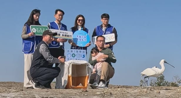 合庫攜手農業部「黑琵守護網」邁向穩定發展新階段