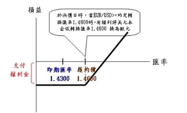 案例分析4：買入買權預期EUR將大漲